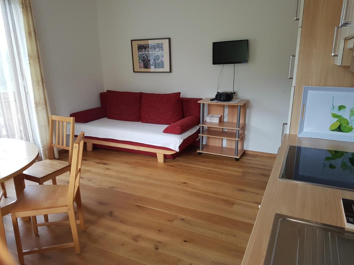 Apartments Spiegl Holzmann Bischofshofen Ngoại thất bức ảnh
